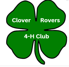 Clover Rovers
