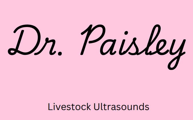 Dr Paisley Livestock Ultrasounds